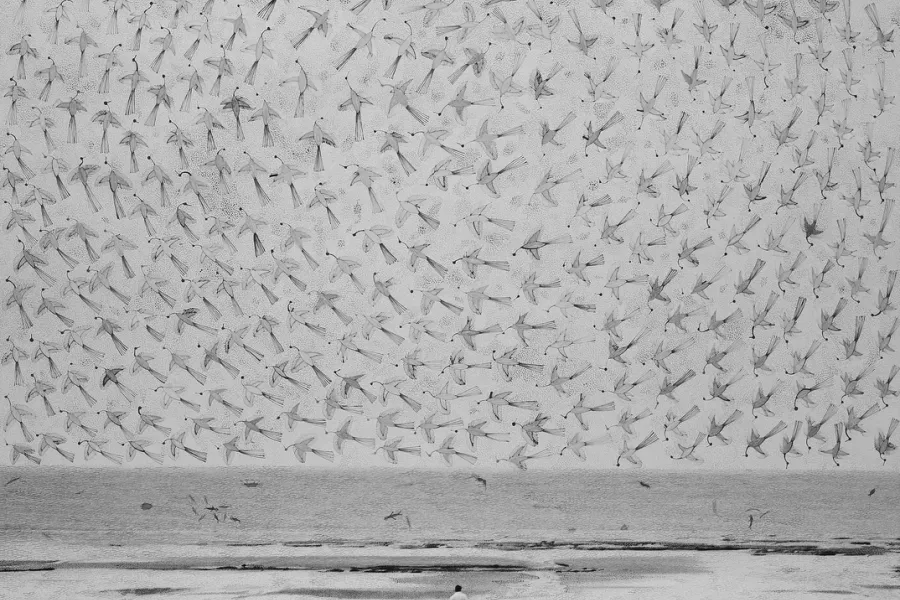 The Sweet and Salty Sea (Gauri Gill & Rajesh Vangad)