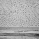 The Sweet and Salty Sea (Gauri Gill & Rajesh Vangad)