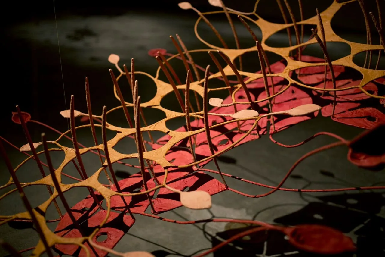 Seven ponds and a few raindrops, 2017 Seven ponds and a few raindrops, 2017